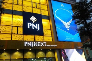 Thêm một “cá mập” ngoại trở thành cổ đông lớn của PNJ trước thềm Đại hội bất thường
