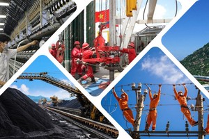 Quản trị công ty theo OECD: Doanh nghiệp nhà nước và chìa khóa nâng cao chất lượng thị trường vốn Việt Nam