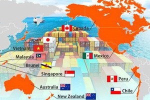 "Có thể nói ít hiệp định nào vất vả như CPTPP trong thực thi"