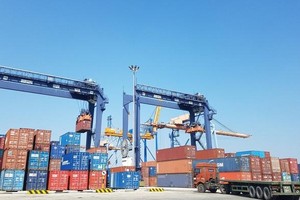 Vận tải và Xếp dỡ Hải An (HAH): Dự kiến bán toàn bộ gần 1,4 triệu cổ phiếu quỹ khi giá thị trường cao hơn 297% giá mua