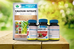 Cổ phiếu HAI chỉ được giao dịch phiên chiều từ 1/6