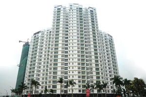 Him Lam Riverside: Dự án căn hộ đắt hàng năm 2013