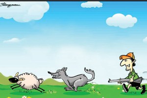 Mơ ước của anh môi giới