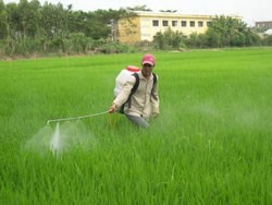 Bảo vệ Thực vật Sài Gòn bị phạt 50 triệu