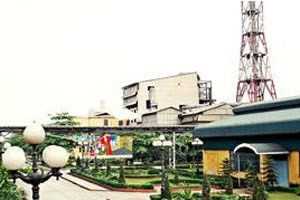 LAS: Quý IV/2013, lợi nhuận và doanh thu ngược chiều