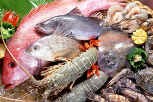 2 tháng, tổng sản lượng thủy sản ước đạt 767.000 tấn