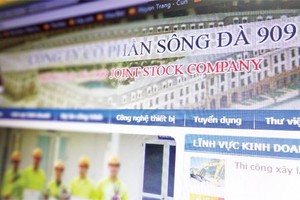 VIX trở thành cổ đông lớn của S99