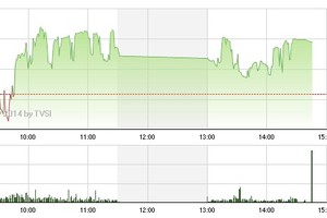 Phiên giao dịch chiều 12/6: Tăng mua cuối phiên