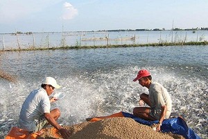 Bỏ thuế VAT đối với thức ăn chăn nuôi