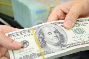 Đầu cơ tỷ giá thua đau
