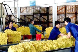 Lãnh đạo Tập đoàn Công nghiệp cao su dùng quỹ phúc lợi đầu tư "sân sau"