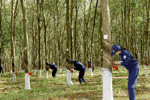 9 tháng, PHR ước lãi trước thuế 90 tỷ đồng