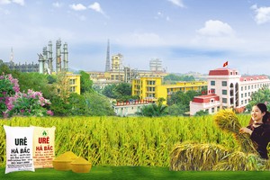 Phân đạm và Hóa chất Hà Bắc sẽ IPO gần 95 triệu cổ phần