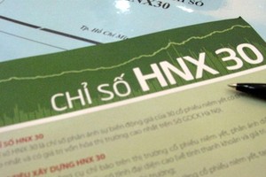 NDN được thêm vào rổ HNX30