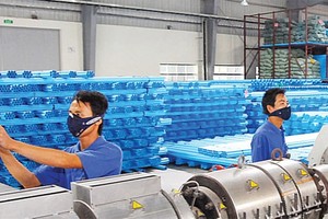 Cổ phiếu cần quan tâm ngày 17/11