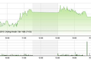 Phiên giao dịch chiều 20/11: Nổi sóng