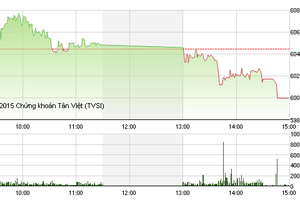 Phiên giao dịch chiều 23/11: Tâm điểm OGC