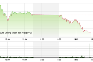 Phiên giao dịch chiều 10/12: Dập tắt hy vọng