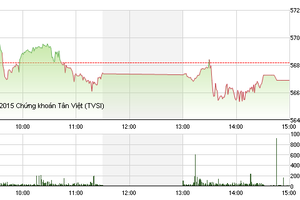 Phiên giao dịch chiều: Cổ phiếu đầu cơ tăng tốc