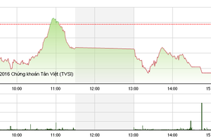 Phiên giao dịch chiều 20/1: Hoàng Anh Gia Lai phá đáy