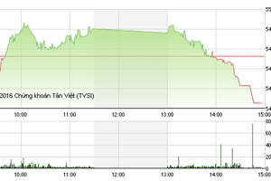 Phiên giao dịch chiều 1/2: VNM không cứu nổi thị trường