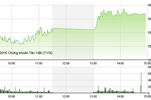 Phiên giao dịch chiều 22/2: Cổ phiếu chứng khoán dậy sóng