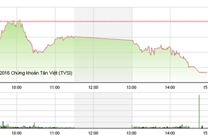 Phiên giao dịch chiều 29/2: Khoáng sản nổi sóng, VN-Index vẫn rớt thảm