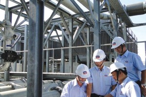 REE trả cổ tức 25% năm 2015 và tối thiếu 12% cho năm 2016