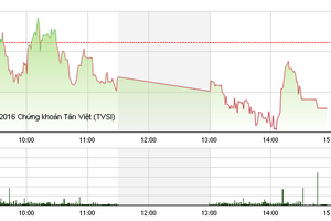 Phiên chiều 19/5: Dầu khí, ngân hàng chìm trong sắc đỏ, VN-Index mất mốc 620 điểm