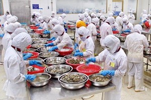 Panama sắp thanh tra một số cơ sở thủy sản Việt Nam