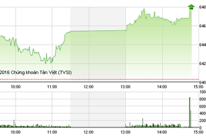 Phiên giao dịch chiều 4/7: Cổ phiếu chứng khoán đua nhau tăng trần