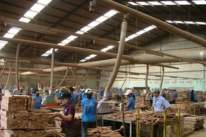 Loại bỏ TTF, thay thế OGC vào các rổ chỉ số của HOSE