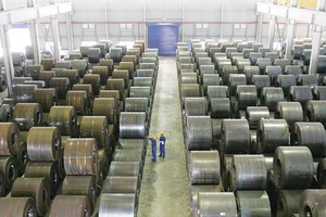 Chậm công bố thông tin, cổ đông lớn DTL bị phạt 50 triệu đồng