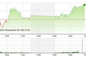 Phiên chiều 15/8: Dòng tiền đầu cơ ồ ạt chảy, VN-Index giữ vững đà tăng