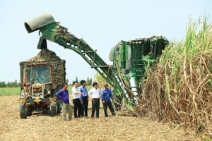 SBT chốt danh sách cổ đông phát hành thêm hơn 58 triệu cổ phiếu