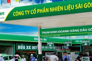 SFC chi hơn 28 tỷ đồng trả cổ tức 25%