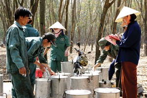 8 tháng, PHR lãi 83 tỷ đồng, hoàn thành hơn 66% kế hoạch năm