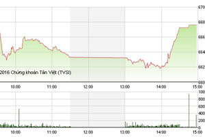 Phiên chiều 3/11: Chứng khoán Việt Nam cũng khốn đốn vì bầu cử tổng thống Mỹ