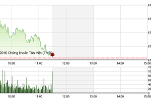 Phiên giao dịch sáng 8/11: Ngoạn mục TCH
