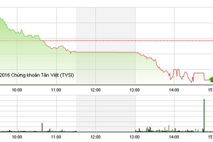 Phiên chiều 13/12: Áp lực bán tăng cao, hàng loạt mã giảm sàn