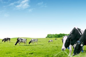 Năm 2016, Vinamilk dự kiến lãi ròng 9.310 tỷ đồng, vượt 12,63% kế hoạch