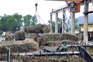 Cổ phiếu cần quan tâm ngày 29/12