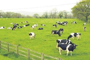 GTN nâng sở hữu tại Tổng công ty Chăn nuôi Việt Nam lên 65%