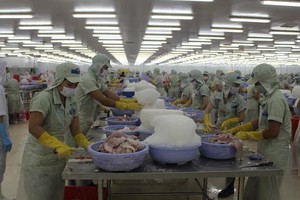 HVG giải trình đang lãi hơn 300 tỷ đồng thành lỗ gần 50 tỷ đồng sau kiểm toán 