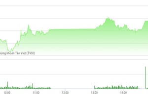 Phiên chiều 10/2: Nóng cổ phiếu đầu cơ, TTF tiếp tục tăng trần