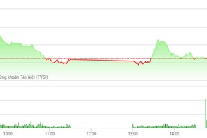 Phiên chiều 24/2: Cú sốc STB