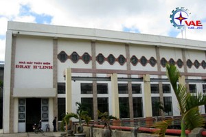 DRL dự kiến trả cổ tức 40% trong năm 2017