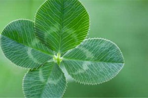 10 sự thật có thể thay đổi cuộc đời bạn