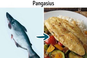 9 loại cá quen thuộc nhưng không nên ăn quá nhiều