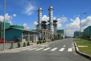 Năm 2016, GLT trả cổ tức 40% bằng tiền mặt